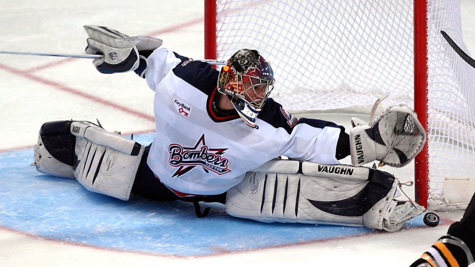 爱游戏官方网站-雄狮内线优势明显，带领球队一路高歌，雄狮科普