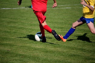 爱游戏电竞-篮球训练计划科学制定及执行效果跟踪研究，简述篮球训练计划制定步骤